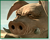 Avatar de l’utilisateur