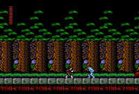 image du jeu video akumajou dracula castlevania simon's quest sur nintendo famicom nes system